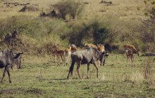 Kilimanjaro Heroes Adventures4