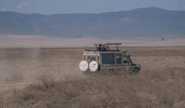 A picture of 4 Days Safari To Lake Manyara, Ngorongoro & Serengeti