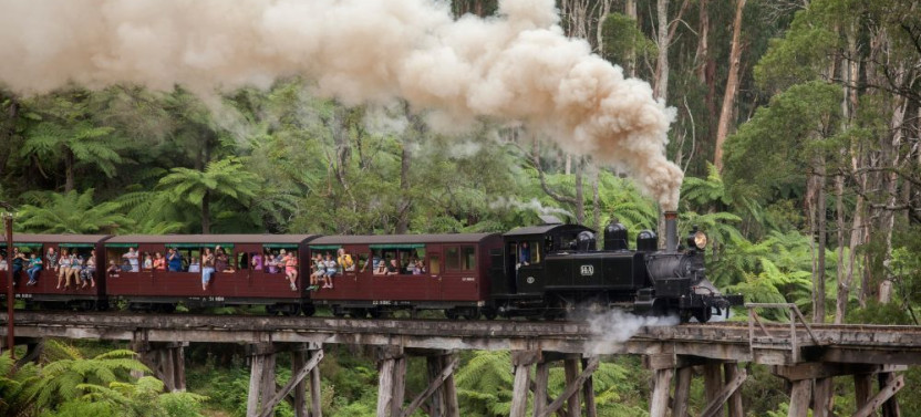 Puffing Billy Steam Train Tour