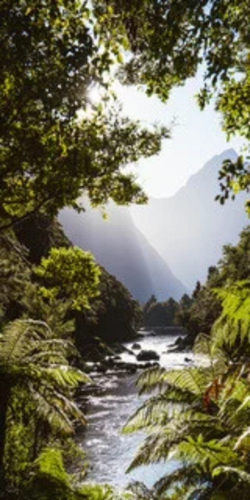 Milford Track Walk + Milford Sound Nature Cruise