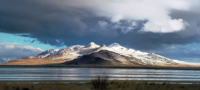 Antelope Island & Great Salt Lake: Full-Day Adventure Tour