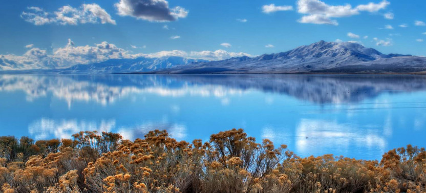 Antelope Island & Great Salt Lake: Full-Day Adventure Tour