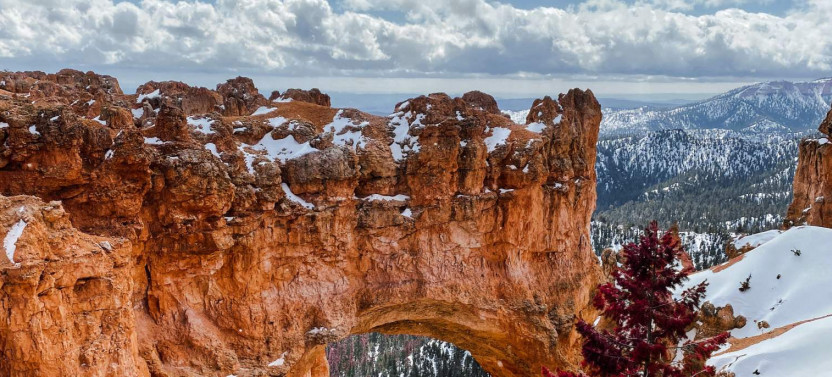 Bryce Canyon Full-Day Adventure: Departing from Las Vegas or Salt Lake City
