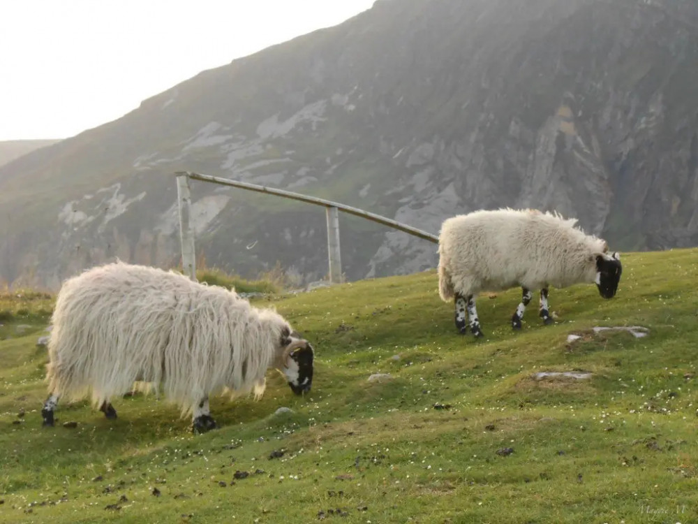 South Donegal Tour