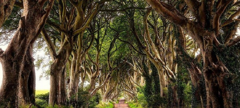 Game of Thrones Tours - The County Down Game of Thrones locations
