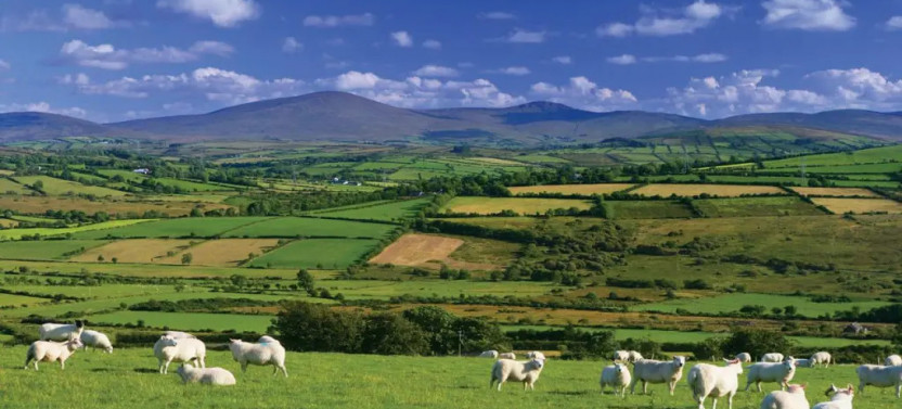Antrim Glens Tour