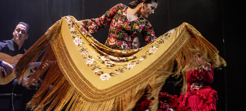 Teatro Flamenco Barcelona: Live the Flamenco Experience, photo 2 of 11