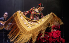 TEATRO FLAMENCO BARCELONA2