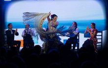 TEATRO FLAMENCO BARCELONA7