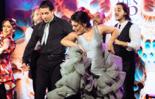 TEATRO FLAMENCO BARCELONA8