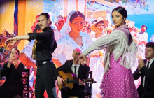 TEATRO FLAMENCO BARCELONA11