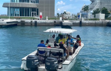 Chippies Cultural Transportation15