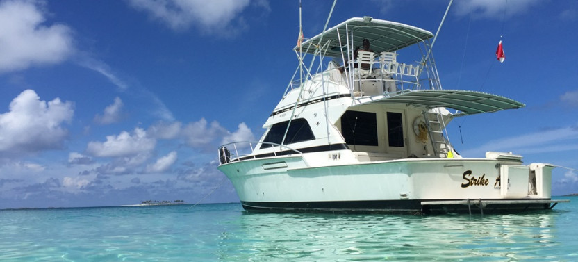 Private 6 Hour Fishing Charter - 43' Strike Again