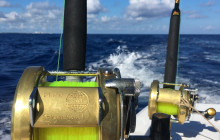 First Strike Charters1