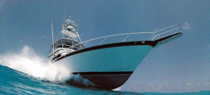 Private 8 Hour Fishing Charter - 43' Strike Again