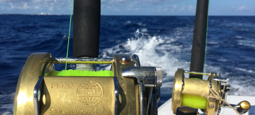 Private 8 Hour Fishing Charter - 43' Strike Again