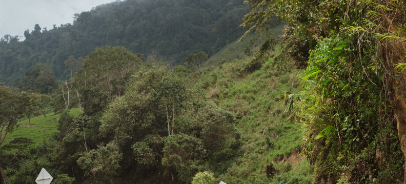 Rio Claro Adventure
