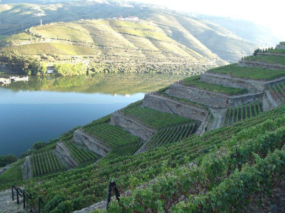 Private Wine Tasting Tour: Douro Valley From Braga