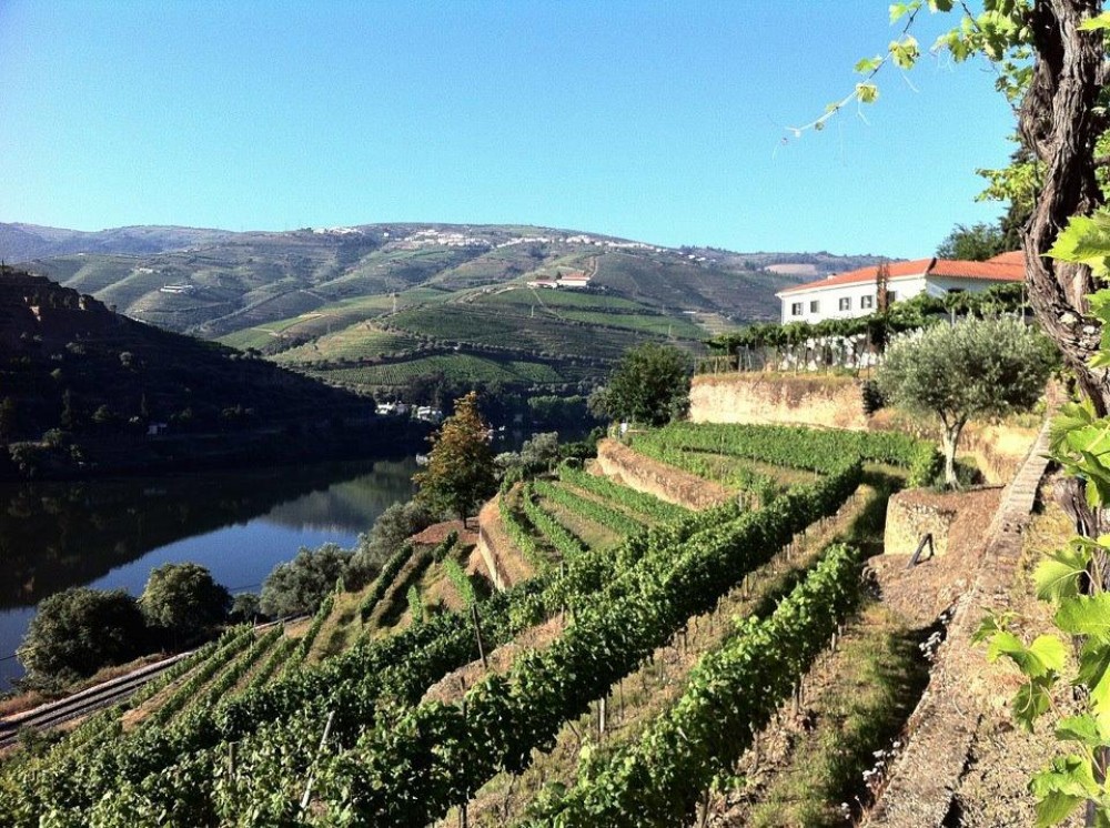 Douro Valley Wine Tour from Porto Porto Project Expedition
