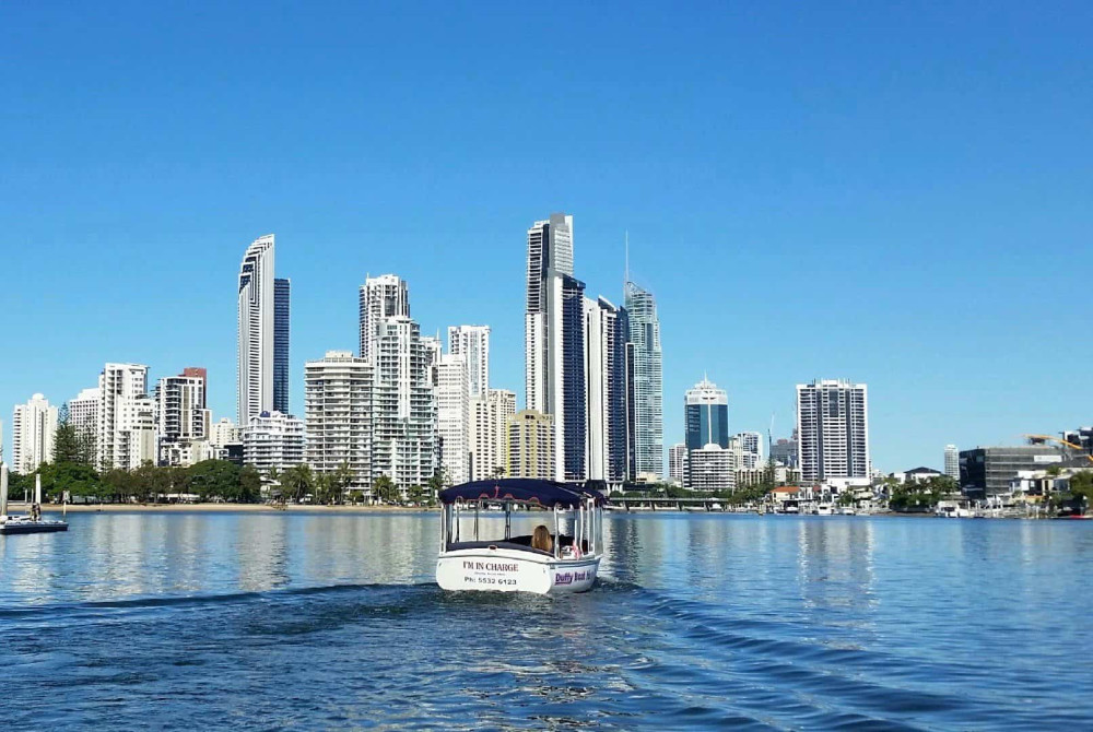 Private Gold Coast Eco Safari