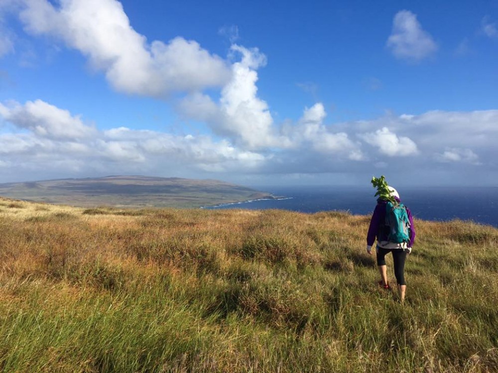 Private Trek To Poike Volcano