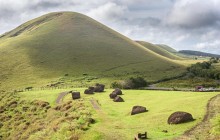 Kava Kava Tours4