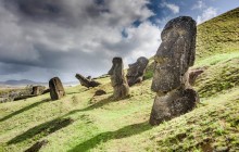 Kava Kava Tours1