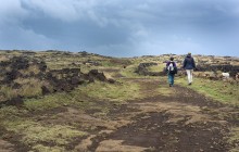 Kava Kava Tours17