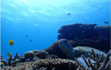 ISHIGAKI ADVENTURE PiPi1