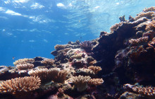 ISHIGAKI ADVENTURE PiPi14