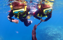 ISHIGAKI ADVENTURE PiPi9