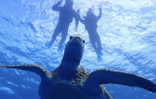 ISHIGAKI ADVENTURE PiPi21