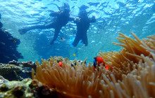 ISHIGAKI ADVENTURE PiPi16