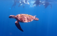 ISHIGAKI ADVENTURE PiPi12