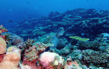 ISHIGAKI ADVENTURE PiPi9