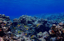 ISHIGAKI ADVENTURE PiPi37