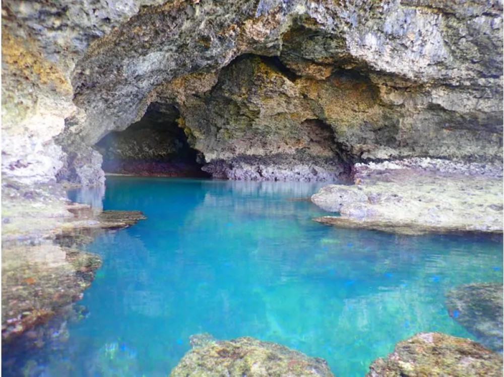 Full-Day Miyara Mangrove SUP or Canoe & Blue Cave Snorkeling in Ishigaki