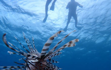 ISHIGAKI ADVENTURE PiPi32