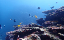 ISHIGAKI ADVENTURE PiPi25