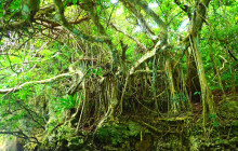 ISHIGAKI ADVENTURE PiPi9