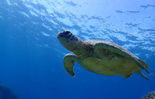 ISHIGAKI ADVENTURE PiPi7