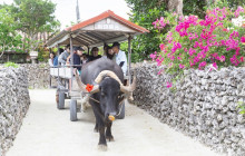 ISHIGAKI ADVENTURE PiPi16