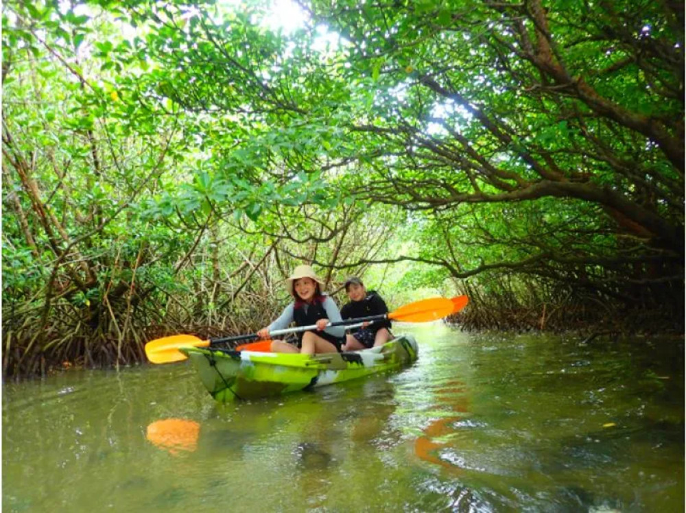 Beginner-Friendly Phantom Island Snorkeling & Mangrove SUP Tour