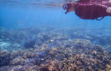 ISHIGAKI ADVENTURE PiPi7