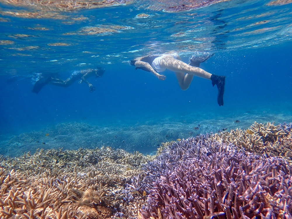 Okinawa Ishigaki Phantom Island Snorkeling Tour