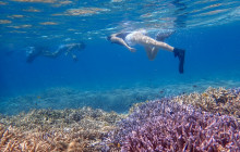 ISHIGAKI ADVENTURE PiPi3
