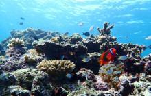 ISHIGAKI ADVENTURE PiPi21