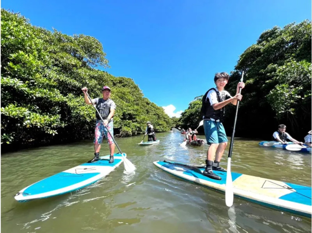 Miyara River SUP or Canoe Cruising in the Mangroves