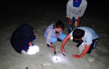 ISHIGAKI ADVENTURE PiPi8