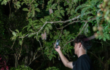 ISHIGAKI ADVENTURE PiPi5